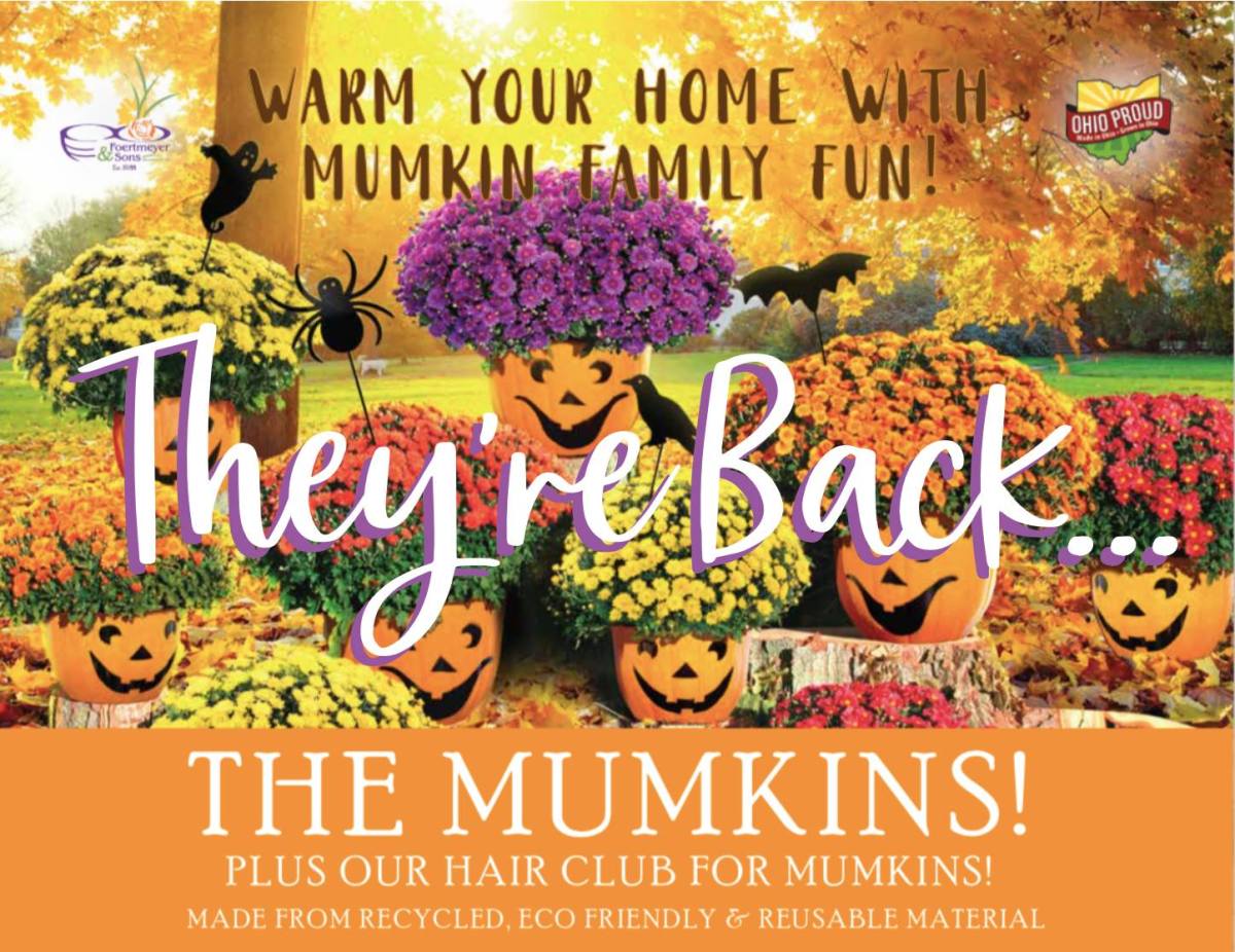 Featured image for “Fall Mumkins Sale”