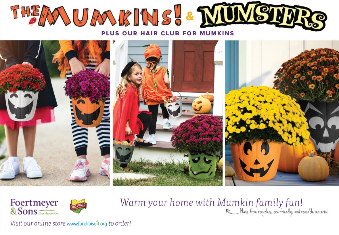 Featured image for “Fall Mumkins Sale”